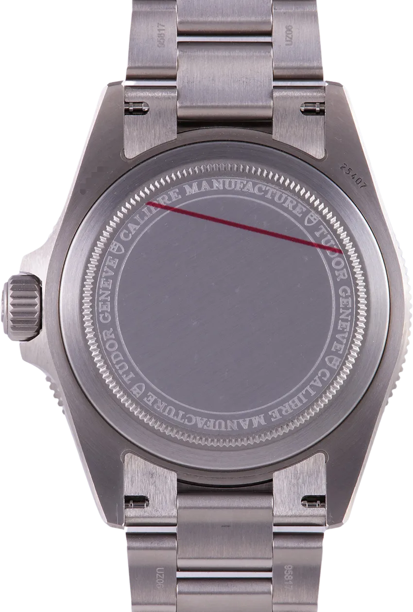 Tudor Pelagos 39 25407N-0001